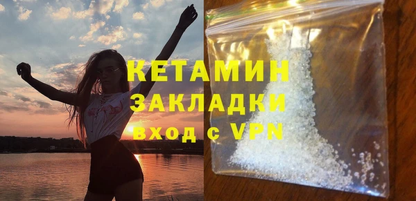 прущие грибы Михайлов