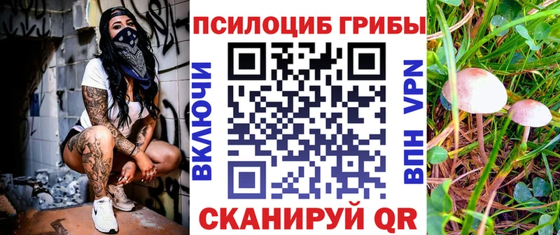 Галлюциногенные грибы прущие грибы магазин маркетплейс клад Первомайск